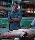 H50606-0077.jpg