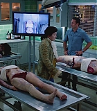 H50606-0080.jpg