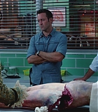 H50606-0097.jpg