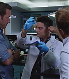 H50606-0142.jpg