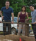 H50609-00051.jpg