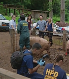 H50609-00057.jpg