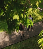 H50609-00281.jpg