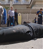 H50610-0083.jpg