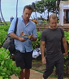 H50611-0080.jpg