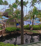 H50611-0088.jpg