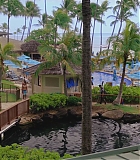 H50611-0089.jpg