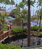 H50611-0090.jpg