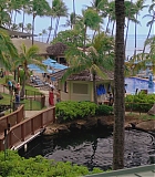 H50611-0091.jpg