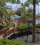 H50611-0092.jpg