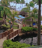 H50611-0093.jpg