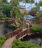 H50611-0096.jpg