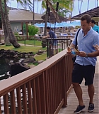 H50611-0101.jpg