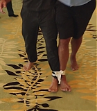 H50611-0183.jpg