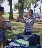 H50613-0033.jpg