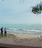 H50617-0100.jpg