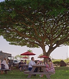H50618-0055.jpg