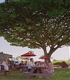 H50618-0056.jpg