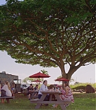 H50618-0057.jpg
