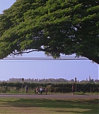 H50618-0084.jpg
