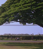 H50618-0085.jpg