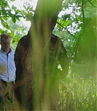 H50618-0267.jpg