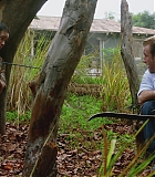 H50618-0293.jpg