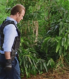 H50521-0061.jpg