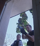 Filename=H50522-0113.jpg
Filesize=128KiB
Dimensions=1920x1080
Date added=May 02, 2016 H50522-0113.jpg