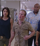 H50625-0383.jpg