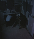 H708-0294.jpg