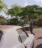 H710-0208.jpg