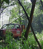 H718-0385.jpg