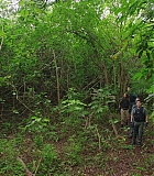 H721-0102.jpg