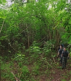 H721-0103.jpg