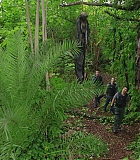 H721-0113.jpg