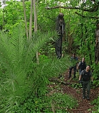 H721-0114.jpg