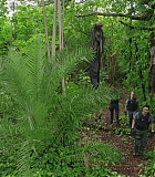 H721-0115.jpg