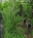 H721-0116.jpg