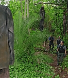 H721-0117.jpg