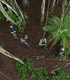 H721-0122.jpg