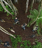 H721-0123.jpg