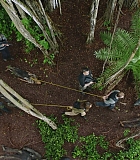 H721-0124.jpg