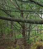 H721-0125.jpg