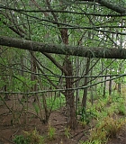 H721-0126.jpg