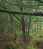 H721-0127.jpg