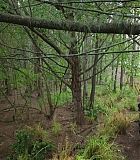 H721-0128.jpg