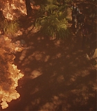 H801-0208.jpg
