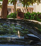 H801-0334.jpg