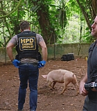 H805-0129.jpg